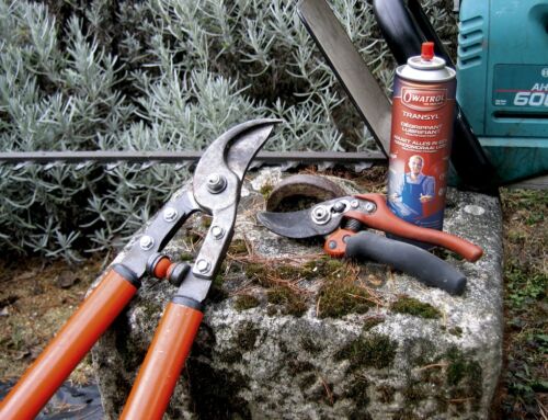 How Often Should You Oil Your Tools to Keep Rust Away?