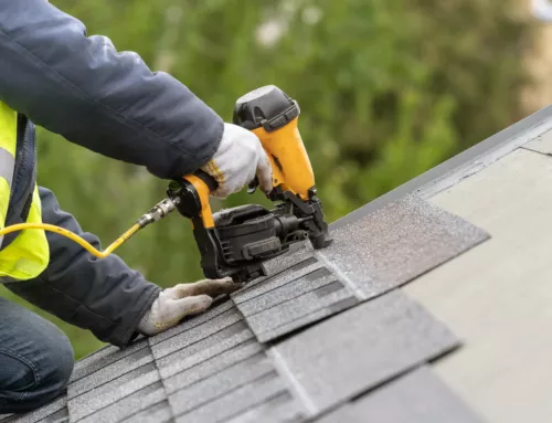 DIY Essentials: Tools, Fixings, Maintenance & Roofing Tips for Beginners
